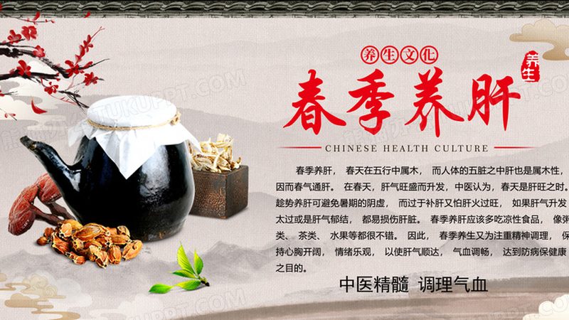 中医理疗价格之谜：揭秘影响定价的五大因素